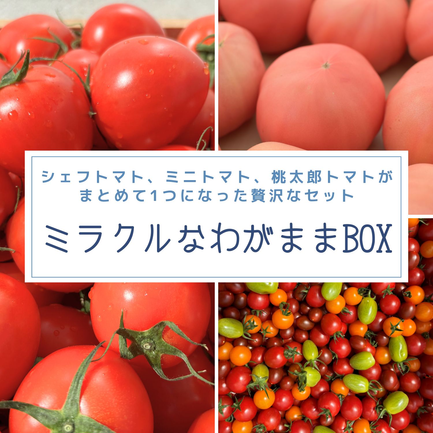 全国お取り寄せグルメ食品ランキング[トマト(31～60位)]第51位