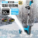 電動除雪機 除雪機 充電式 コードレス除雪機 雪かき 電動 スコップ 家庭用 除雪機 除雪幅30cm 3.0AH 21V バッテリー 除雪器具 電動除雪スコップ ショベル 雪かきスコップ 小型除雪機 除雪用品 シャベル 軽量 便利 雪かき用 スコップ 雪飛ばし 投雪 庭 駐車場