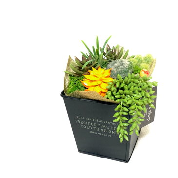 フェイク植物寄せ植えアレンジ ブラックブリキAサッカレン【インテリアグリーン プリザーブドフラワー アーティフィシャルフラワーギフト 花 観葉植物フェイク インテリアフラワー インダストリアルブリキポット 鉢おしゃれ 誕生日 プレゼント 新築祝 開店祝 引越祝】