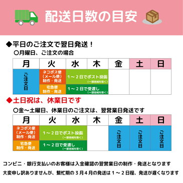 くつデコミニ：マークなし【シンプルに文字だけを印字。上履き、上靴、ズック、バレーシューズ、靴に名前を書かなくても大丈夫！、上履きに名前を書かなくても大丈夫！ 4個入り】　保育園幼稚園　入園準備　学校入学準備　お名まえ　便利グッズ♪