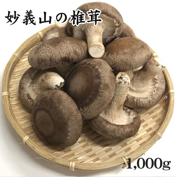 【妙義山のしいたけ】東間さんちの椎茸[1000g][化粧箱]