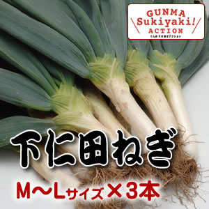 【お歳暮にも】入手困難な極上素材厳選上州牛・下仁田ねぎ・原木椎茸・舞茸・生芋白滝・割り下までをセットに！　【群馬はすき焼き応援県】★下仁田ネギと上州牛(牛肉)他、厳選素材の詰合せ・すき焼きセット/ギフト/群馬からのお歳暮に最適★下仁田葱・上州牛すき焼きSET:B【楽ギフ_のし】【冷蔵便】