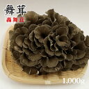 【妙義山の舞茸：轟舞茸】東間さんちの舞茸1000g[化粧箱]