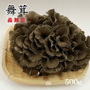 【妙義山の舞茸：轟舞茸】東間さんちの舞茸500g[化粧箱](まいたけ)