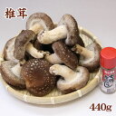 【産地からお届け】神戸さんちの椎茸440g(しいたけ)