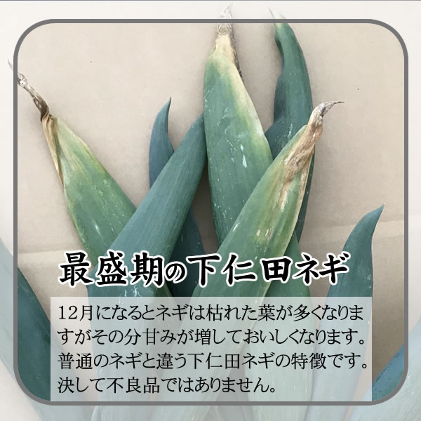 今が旬の山の幸、今しか食べられない絶品田舎うどん　★煮込みうどん厳選素材セット(群馬の下仁田ネギ・うどん・椎茸・舞茸・こんにゃく)お歳暮や贈答にも★こしねうどんセット[NG-U]【楽ギフ_のし】【沖縄宛は送料別途】