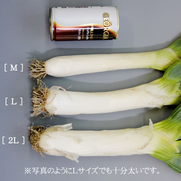 M〜2Lのコミコミで重宝！！　【産地直送】★当店の地元・群馬県下仁田町からお届け！本場の本物下仁田ネギ/お歳暮・贈答にも★下仁田ねぎ[NN-B][M～2Lコミコミ]【楽ギフ_のし】