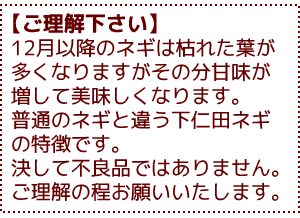 下仁田流のしゃぶしゃぶ鍋がめちゃうま！　【下仁田ねぎと下仁田ポークの豚しゃぶしゃぶ鍋セット】葱豚しゃぶ鍋セット:B(水炊きしゃぶしゃぶセット)【送料無料】【冷蔵便】【楽ギフ_のし】【沖縄宛は送料別途】
