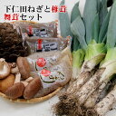 【送料無料】★群馬県下仁田産・本場の下仁田ネギ/お歳暮にも★下仁田ねぎと椎茸・舞茸セット[NSM-36]【楽ギフ_のし】【Z】