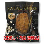 【テレビ朝日 報道ステーションで紹介】【お試し3個・送料込み】【大豆ミートハンバーグ・ヴィーガン＆グルテンフリー】サラダバーグ アスリート[3個]【M】