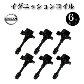 イグニッションコイル 6本セット 22448-AL600 純正同等品【日産 ステージア PM35 HM35 PNM35】