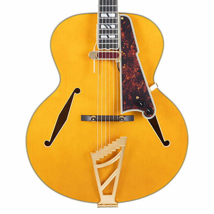 D'Angelico ディアンジェリコ エレキギター フルアコ Excel Style B Amber アンバー ホロウボディ