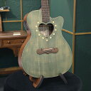 タンブラープレゼントキャンペーン Zemaitis ゼマイティス アコースティックギター CAF-85HCW, Forest Green エレアコ オーケストラ...