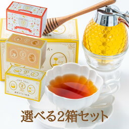 大橋珍味堂 はちみつ紅茶 3種から2個選べる紅茶詰め合わせ 【人工甘味料不使用 国産蜂蜜使用】濃厚はちみつ紅茶 (12包×1箱) アップルシナモンティー (12包×1箱) キャラメルミルクティー (12包×1箱) 蜂蜜紅茶 TYAZEN(茶善) ギフト おしゃれ 高級