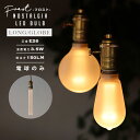 NOSTALGIA LED Bulb / フロスト加工 ノスタルジア LED バルブ WEST VILLAGE TOKYO (ウエストビレッジトーキョー) LED電球 E26 20W相当 消費電力 3.5W 2200K 150LM(ルーメン) エジソン 電球 照明