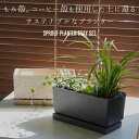 SPROUT PLANTER TRAY SET スプラウト プランター トレイ セットyard ヤード長角24cm 室内 長方形 プランター 屋内使用 キッチン菜園 野菜 多肉植物 横長