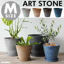 【Mサイズ】ART STONE アートストーン 