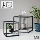 【Lサイズ】ODD CUBIC BOX / オッド キューブ ボックス WEST VILLAGE TOKYO ウエストビレッジトーキョー W37 × D37 × H37cm プランター 植物 アイアン 鉄 プランツ 植物スタンド 宙に浮く