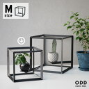 ODD CUBIC BOX / オッド キューブ ボックス WEST VILLAGE TOKYO ウエストビレッジトーキョー W28 × D28 × H28cm プランター 植物 アイアン 鉄 プランツ 植物スタンド 宙に浮く