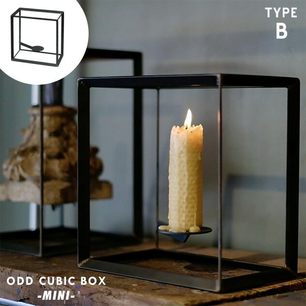 【TYPE B】ODD CUBIC BOX -MINI-/ オッド キューブ ボックス ミニ WEST VILLAGE TOKYO ウエストビレッジトーキョー W20×D12×H20cm プランター 植物 アイアン 鉄 プランツ 植物スタンド 宙に浮く キャンドルスタンド