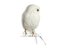 Owl White　横向き　フクロウ PUEBCO Artificial Birdsプエブコ アーティフィシャルバード107073