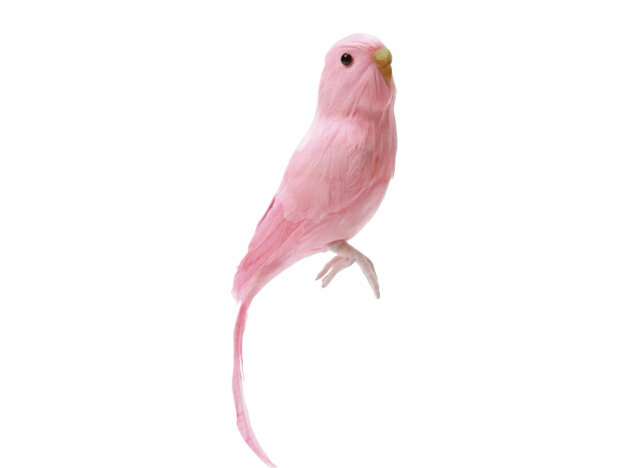 Budgie(Pink) セキセイインコ　ピンク PUEBCO Artificial Birdsプエブコ アーティフィシャルバード128078【あす楽対応_東海】