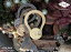 CDW DOLPHY Key Ring / ドルフィー キーリング CANDY DESIGN & WORKS キャンディデザイン＆ワークス カラビナ 鍵 キーホルダー 日本製 DETAIL