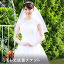 ミモレ丈試着チケット