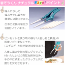 【平日15時まで即日出荷】箸ぞうくん　ナチュラル【介護 おはし はし お箸 箸 プレゼント 贈り物 介護用 はし 介護はし 食事 はし 食事用 はし 食事用 おはし 食事用 箸 ごはん用 高齢者用 にぎりやすい しっかり握れる お箸 つまみやすい箸 人気 食事 ウインド】 2