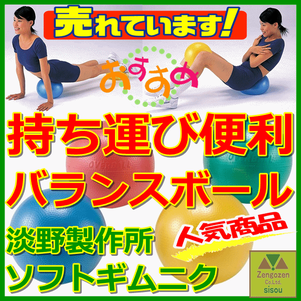 ソフトギムニク 介護 高齢者 プレゼント 贈り物 敬老 リハビリ トレーニング エクササイズ リハビリ ボール リハビリ用 ボール トレーニング ボール トレーニング用 ボール 介護 リハビリ 運動 ボール エクササイズ ボール エクササイズ用 ボール 人気 淡野製作所 ソフトギムニク 介護 高齢者 プレゼント 贈り物 敬老 リハビリ トレーニング エクササイズ リハビリ ボール リハビリ用 ボール トレーニング ボール トレーニング用 ボール 介護 リハビリ 運動 ボール エクササイズ ボール エクササイズ用 ボール 人気 淡野製作所