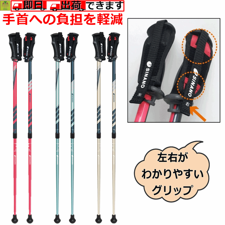 【平日15時まで即日発送】レビータ 