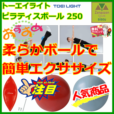 ピラティスボール 250【介護 高齢者 プレゼント 贈り物 父 母 敬老 生活支援 リハビリ トレーニング エクササイズ 片マヒ 車いす シルバー 人気商品 リハビリ ボール エクササイズ ボール バランスボール バランス ボール トレーニング用 ボール トーエイライト】