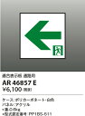 【誘導灯パネル】【通路用】【AR46833L・AR46834L・AR46837L・AR46838L適合表示板】AR46857E