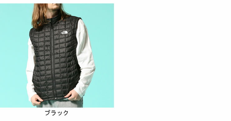 ザ ノースフェイス ベスト THE NORTH FACE 中綿ベスト フェイクダウンベスト 胸ロゴ キルティング フルジップ スタンド 中綿 ベスト ECO VST NF0AP9Yメンズ 男性 トップス アウター ベスト ジレ 中わた 中綿ベスト 秋 冬 アウトドア スポーツ レジャー HC21NF0AP9Y