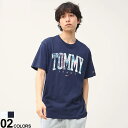 トミージーンズ Tシャツ TOMMY JEANS 半袖Tシャツ チェックロゴ クルーネック 半袖 Tシャツ CLSC TARTAN TOMMY TEE DM0DM15666メンズ 男性 トップス シャツ Tシャツ クルー 半袖 春 夏