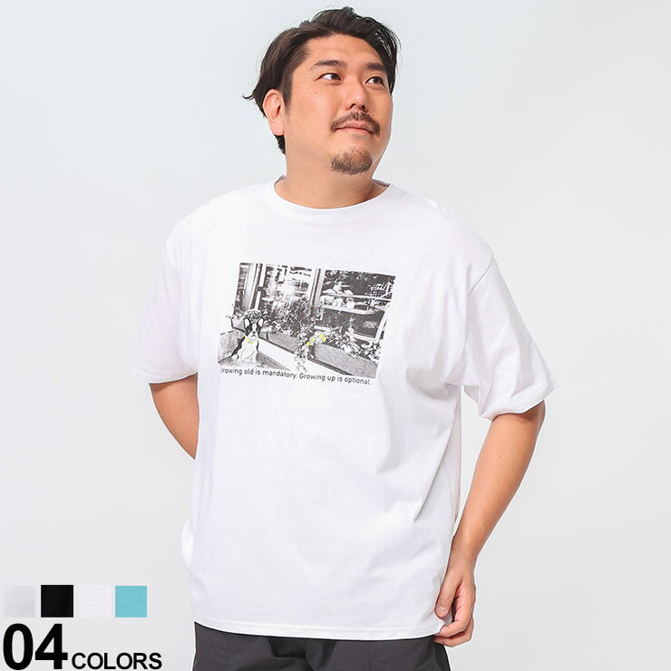 樂天商城 - B＆T CLUB (ビーアンドティークラブ) フォトグラフィック×刺繍 クルーネック 半袖 Tシャツ Q2410321S 大きいサイズ メンズ トップス シャツ 半袖 クルーネック