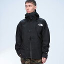 THE NORTH FACE (ザ ノースフェイス) GORE-TEX フード フルジップ ジャケット DGTX JACKET NF0A831M メンズ 男性 トップス アウター ジャケット ブルゾン パーカー スポーツ アウトドア(4)