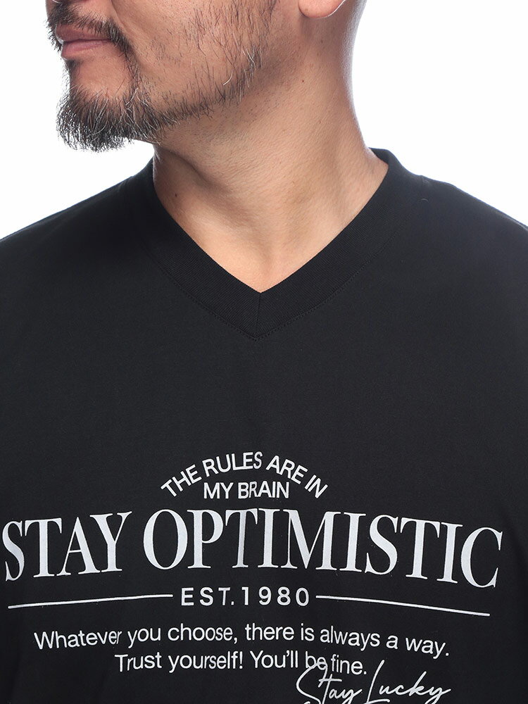 B＆T CLUB (ビーアンドティークラブ) フロント＆バックプリント Vネック 半袖 Tシャツ SZ25013C 大きいサイズ メンズ トップス Tシャツ プリント ゆったり 春 夏