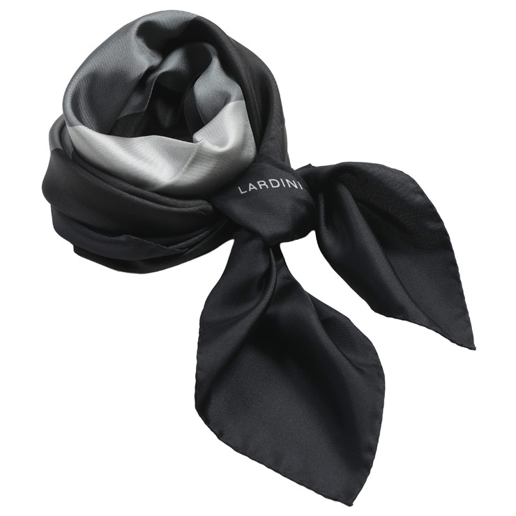 ���ǥ����� ��� �������� LARDINI ���륯100�� ���������� �������� ������ LDFOU11PA66170 �֥��� �������� �֥�å� �ץ쥼...