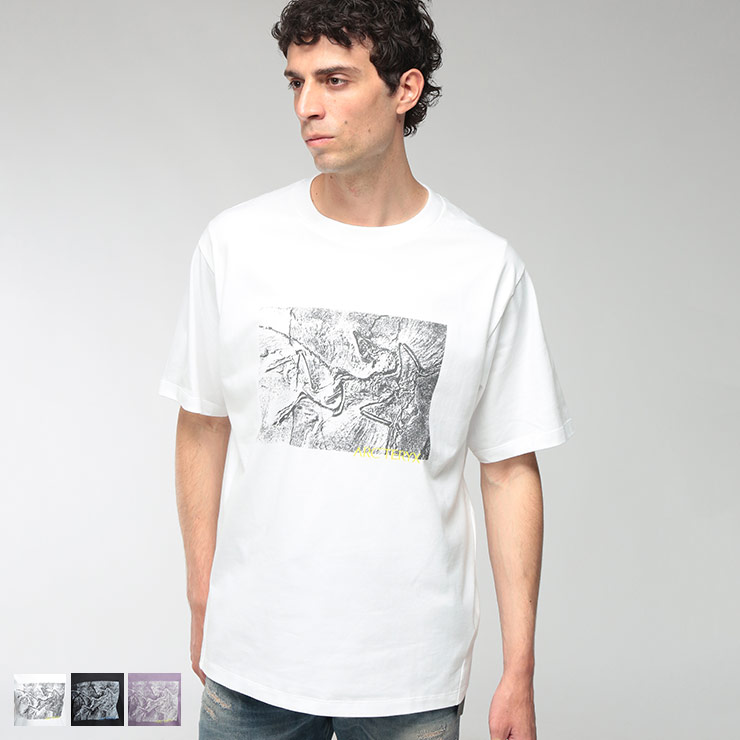 楽天市場】ARC'TERYX アークテリクス（サイズ（S/M/L）S）（Tシャツ
