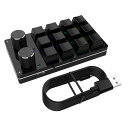 ケーブル USB マクロ ミニ キーボード 12 キー 2 ノブ プログラミング キーパッド ホットスワップ カスタマイズ ゲーミング メカニカル キーボード (ブラック)