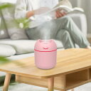ポータブル加湿器 クールミスト加湿器 寝室 子供部屋 保育園用 ミュート USB 250ml パーソナル加湿器 ホームデコレーション リビン