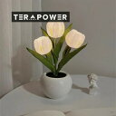 スタイル 常夜灯 LED チューリップ イミテーションブーケ イミテーションランプ ベッドルーム ベッドサイド ドミトリー デコレーション アンビエントライト テーブルランプ