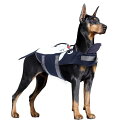 プールのための耐久のペット犬の浮遊ジャケットの救命胴衣の夏