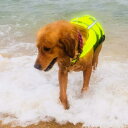 犬 救命胴衣 ペット ライフジャケット 明るい色 反射性 高視認性 安心 安全 水泳 プール 泳ぐ練習 事故防止 運動不足対策 着脱簡単 水遊び 海水浴
