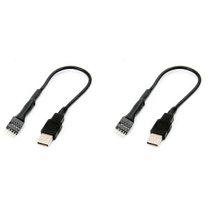 2個 、20センチ、 9 ピンオス 外部USB、 オスPCメインボード、 内部データ延長ケーブル