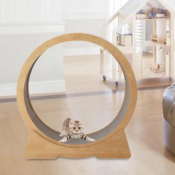 ǭѥۥ ǭΤ ߥ塼 ȥåɥߥ ȥ ڥå ̤