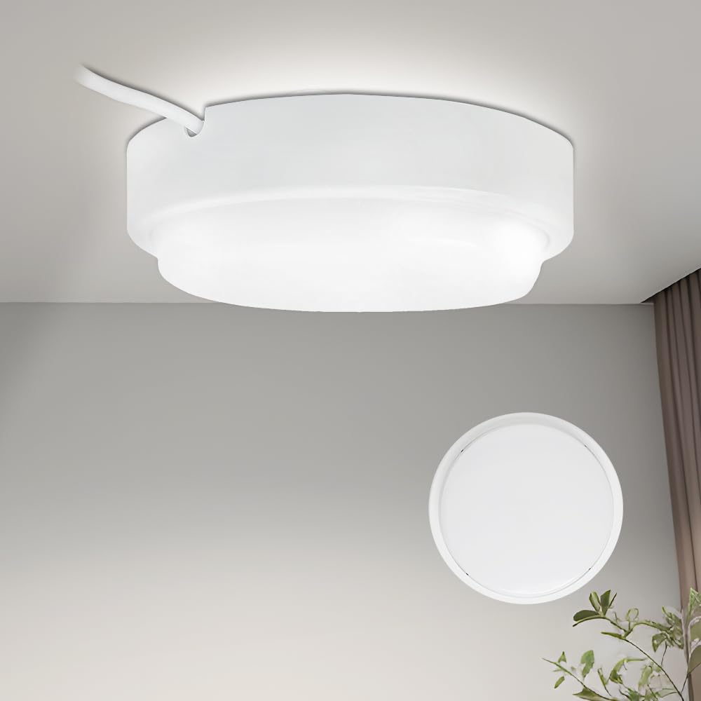 バスルームライトバスルームライト 玄関ライト 小型 壁掛け 壁直付型 天井直付型 浴室照明器具 室外照明 玄関照明 ledポーチ灯 明るい LEDバスルーム おしゃれ シンプル お風呂 軒下 バスルーム