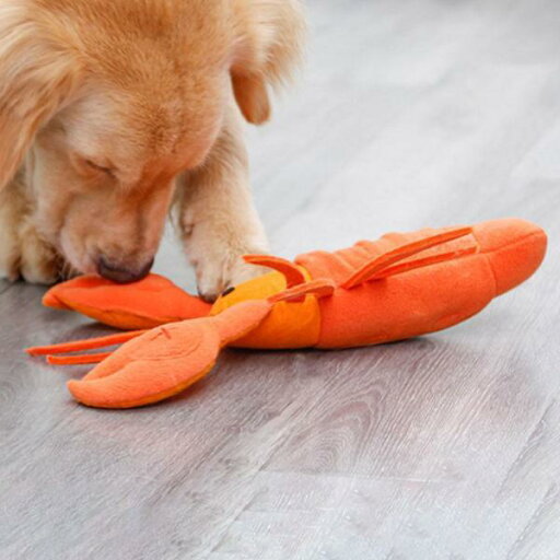 犬のおもちゃシーフードロブスター噛むおもちゃトレーニング歯のクリーニング屋外インタラクティブ 犬のおもちゃシーフードロブスター噛むおもちゃトレーニング歯のクリーニング屋外インタラクティブ