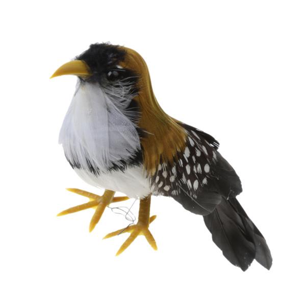 楽天市場】鳥 の 剥製の通販 楽天市場】鳥 の 剥製の通販